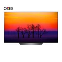 Smart Tivi OLED LG 55 Inch 55B8PTA