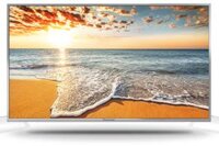 Smart Tivi Panasonic 49 inch TH-49LS1V