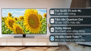 Smart Tivi QLED Samsung 75 inch 4K QA75Q80B (75Q80B)