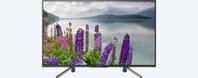 Smart Tivi Sony 49 inch 49W800F