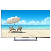 Smart Tivi Sony 4K 49 Inch KD-49X9000E