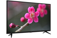 Smart Tivi TCL 4K 43 inch L43P65-UF