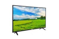 Smart Tivi TCL 50 inch 4K 50P725 UHD