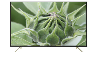 Smart Tivi LED TCL 55 inch FullHD L55S6000