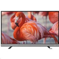 Smart Tivi Toshiba 55 Inch 55U6750