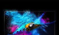 Smart tivi Xiaomi P1 43 inch L43M6-6ARG