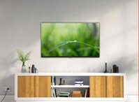 Smart TV 50 inch Coocaa 50Y72