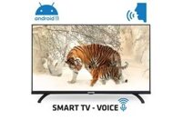 Smart Voice Tivi Darling 43 inch Full HD 43FH964V