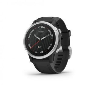 Smart Watch Garmin Fenix 6S 42mm