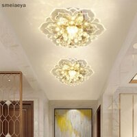 [Sme] Đèn trần LED pha lê hiện đại 20cm 9W Đèn chùm mặt dây chuyền hành lang [Vn]