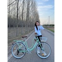 SN 360 xe đạp nữ Trioblade Việt Nam bộ củ đề 7 cấp