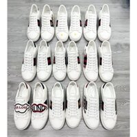 Sneaker G xê , Giày gu chì thời trang nam nữ BC15.