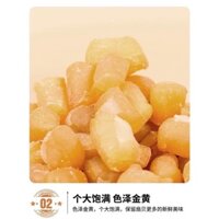 Sò điệp khô mini