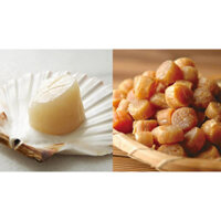 Sò Điệp Nhật Khô ( bồi bổ sức khỏe , tăng đề kháng )