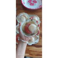 Sò điệp nhật nửa mảnh size 7-9con /Kg