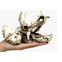 Sọ khủng long 3 sừng Triceratops trang trí bể cá, thuỷ sinh, bò sát, tarantula