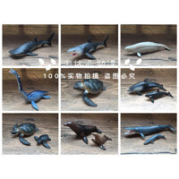 Số lượng lớn chính hãng TOMY TOMY Aniya Mô phỏng Động vật hoang dã Đồ chơi Ocean Series Killer Cá voi Rùa biển Cá heo
