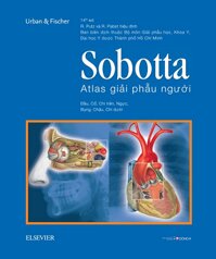 Sobotta Atlas giải phẫu người