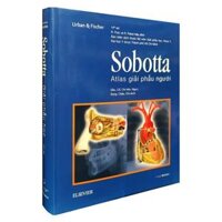 Sobotta Atlas Giải Phẫu Người (Phiên Bản Thứ 14)