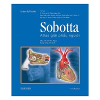 Sobotta Atlas Giải Phẫu Người