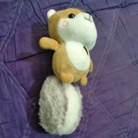 sóc bông đáng yêu