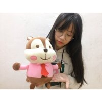 Sóc bông đáng yêu