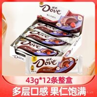 Sôcôla hạt phỉ Dove 43g*12 thanh hộp quà tặng cho bạn gái