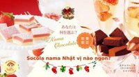 Socola nama Nhật vị nào ngon? - Nama Chocolate Shop
