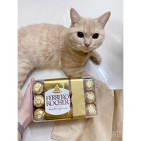 Socola sữa nhân hạt phỉ Ferrero Rocher 30 viên