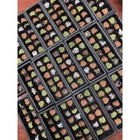 socola tươi hình trái tim