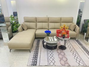 Sofa băng dài D113