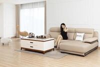 Sofa da mã NV19