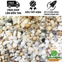 sỏi biển trang trí cây cảnh , hồ cá , bể thủy sinh - 100 gam,0.2 - 0.3 mm