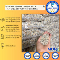 Sỏi Biển Tự Nhiên Trang Trí Hồ Cá, Lót Chậu, Sân Vườn Thủy Sinh 50Kg