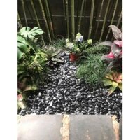 Sỏi Đen Bóng- Sỏi trang trí tiểu cảnh, sân vườn,...- Sẵn kho Sài gòn