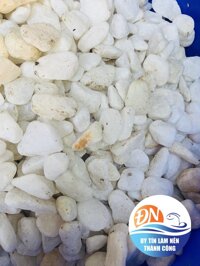 sỏi trắng to 1kg