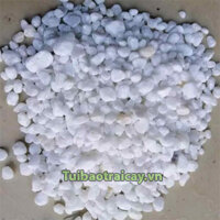 Sỏi trang trí màu trắng kích thước 1x2cm / 1kg - GT37