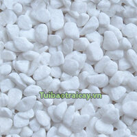 Sỏi trang trí mầu trắng kích thước 2x3cm / 1kg - GT38