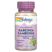 Solaray Garcinia Cambogia 500 mg 60 Vegcaps