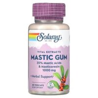 Solaray Mastic Gum  500 mg 45 VegCaps