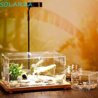 Solarza Hatching Terrariums Hộp đựng thức ăn chuyên nghiệp trong suốt Thằn lằn Ếch côn trùng Đồ dùng côn trùng