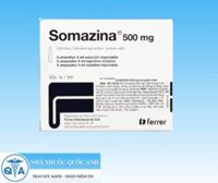 Somazina 1000mg thuốc tiêm điều trị rối loạn nhận thưc·