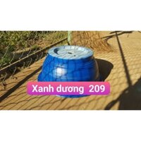 Sơn chậu kiểng hệ nước DOLPHIN màu Xanh dương