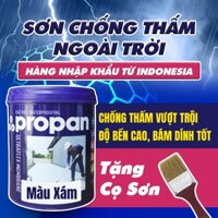 Sơn chống thấm ngoài trời cao cấp PROPAN màu xám lon 1 kg + Tặng kèm cọ quyét