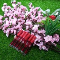 Son dear darling tint