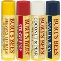 SON DƯỠNG BURT'S BEES