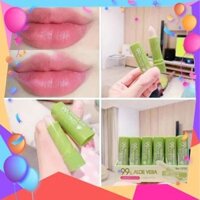 Son Dưỡng Hồng Môi Nha Đam Hasaya Girl Aloe Vera HL785124