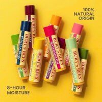 Son dưỡng không màu BURT'S BEES Moisturizing Lip Balm