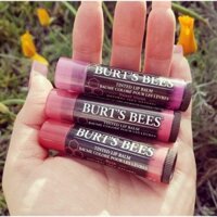 Son dưỡng môi có màu Burt’s Bees Tinted Lip Balm.