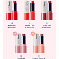 SON DƯỠNG VASELINE BẢN HÀN